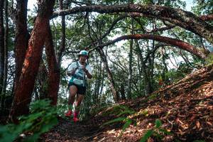 BIB: 
                            <button type="button" onclick="openModal(26345809)" class="btn btn-primary btn-sm float-right btn-popup" data-toggle="modal" data-target=".modal-high-quality">
                        <i class="fas fa-shopping-cart"></i> Add to Cart
                    </button>
                                            <button type="button" onclick="isThisMe(26345809, true)" class="btn btn-success btn-sm float-right btn-popup btn-isme hidden" data-toggle="tooltip" data-placement="bottom" title="นี่คือรูปของคุณใช่ไหม คลิกที่นี่เพื่อเอาเข้าอัลบั้ม">
                        <i class="fas fa-plus"></i> Add to album
                    </button>
                    <button type="button" onclick="isThisMe(26345809, false)" class="btn btn-warning btn-sm float-right btn-popup btn-isnotme hidden">
                        <i class="fas fa-ban"></i> Remove from album
                    </button>